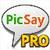 PicSay Pro - Photo Editor final icon