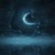 Moon Night LWP icon