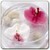Floating orchids icon