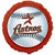 Houston Astros Fan icon