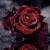 Rose In Snow LWP icon