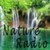 Free Radio Ambient And Nature icon