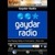 Gaydar Radio / Android icon