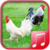 Chicken sounds app icon