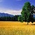 Pasture 3D Wallpaper Free app for free