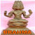 Brahma Fact icon