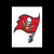 Tampa Bay Buccaneers Fan icon