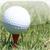 Golf Scores icon