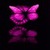 Purple Butterfly LWP icon