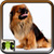 Dog Photos Free icon