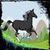 Dark Horse Run Game icon