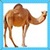 Kids Camel icon