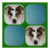 Mour Apps Animal Memory icon
