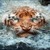 Tiger In Water LWP2 icon