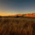 Wheat fields at dusk Wallpaper HD icon