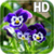 Pansy flowers Live Wallpaper icon