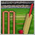 Cricket Quiz Fever icon