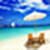 Beach  frame pic icon