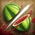 Ninja Fruit Blitz Pro  icon