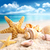 Seashells Live Wallpapers app for free