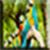 Birds Images App icon