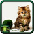 Cats Images Photos icon