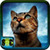 Free Cat Screensavers And Wallpaper icon