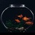 GoldFish in Aquarium  icon