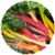 Benefits of Swiss Chard app for free