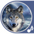 Wolf Sounds Free icon