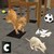  Cat Alone At Home app for free