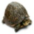 Jumping Turtle icon
