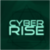 Cyber Rise: Business from scratch icon
