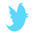 new twitter 2015 icon