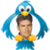 Charlie Sheen-Tweets icon