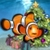 3D Christmas Aquarium : my Fish Special Edition icon