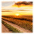 Nature Countryside Live icon