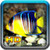 Coy Fish HD Wallpaper icon