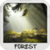 Forest Wallpapers icon