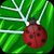 Bugs Jigsaw Game - Web Untangle icon