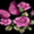 photo Flower photo frame  icon