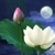 Lotus Moon LWP HD icon