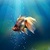 Goldfish In Your Pocket Live Wallpaper icon