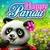 Happy Panda: Little Baby Care icon