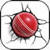 Cricket Battle icon
