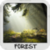 Forest Wallpapers by Nisavac Wallpapers app for free