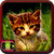 Wallpapers Of Kittens icon