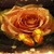 Golden Rose Butterfly LWP icon