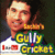 GullyCricket icon