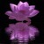 Purple Lotus Live Wallpaper icon